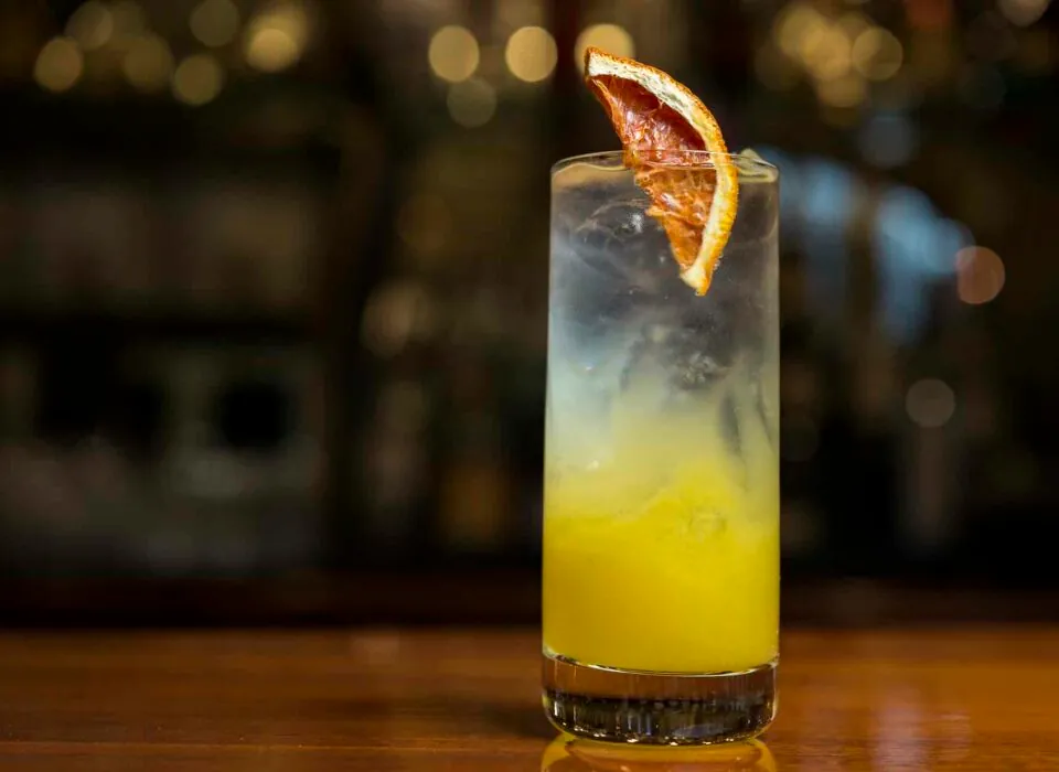 Cocktail with dried fruit garnish