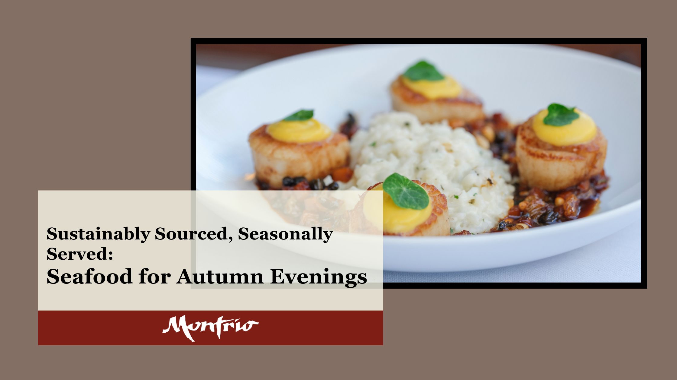 Sustainably Sourced Seasonally Served | Montrio Sustainably Sourced Seasonally Served